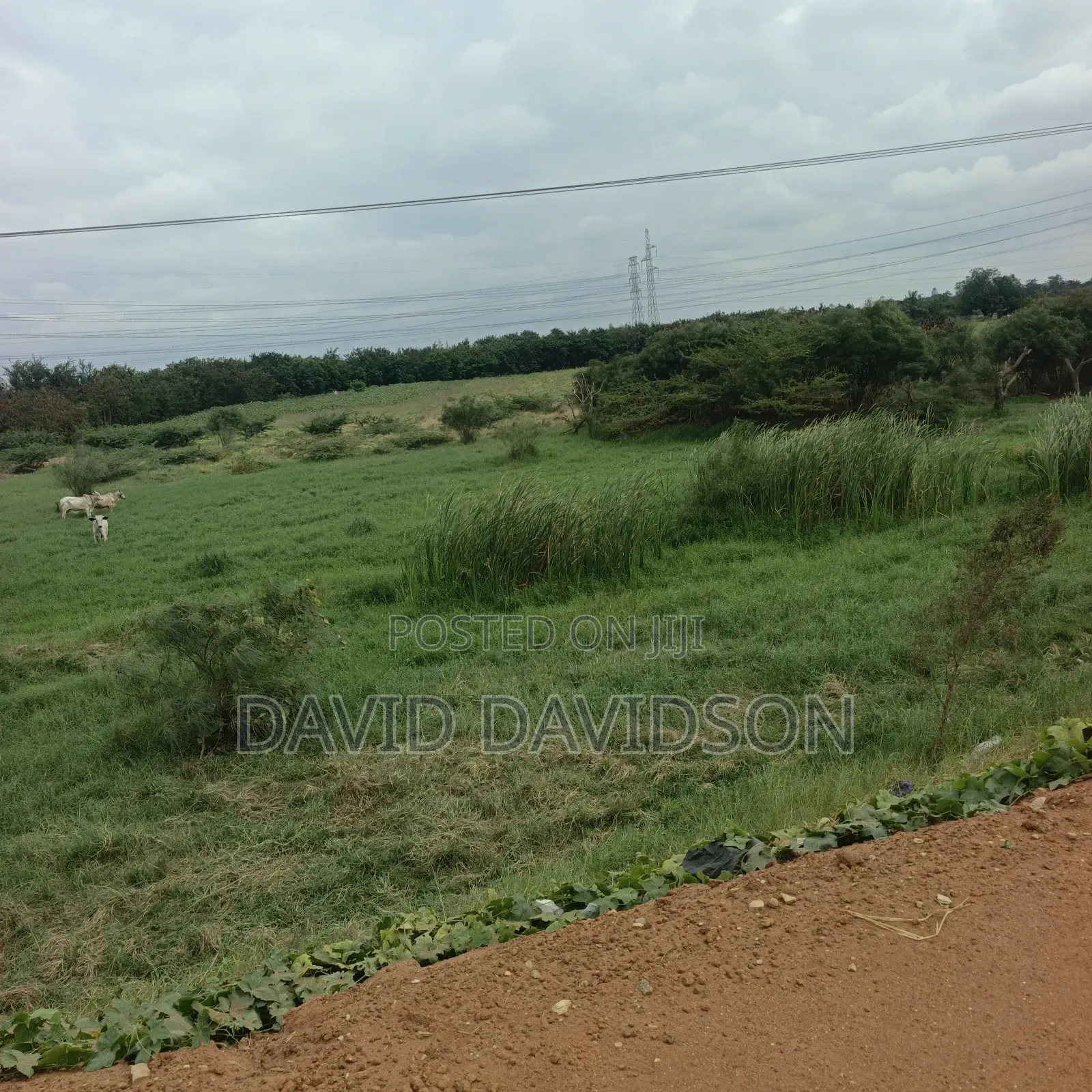 8 Acres of Land at Tema Motoway Commercial