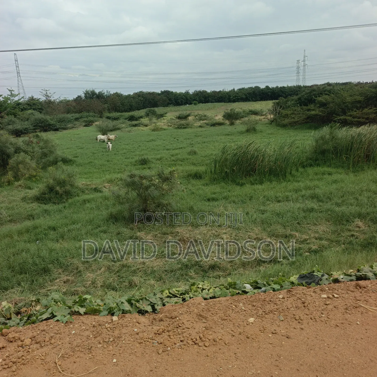 8 Acres of Land at Tema Motoway Commercial