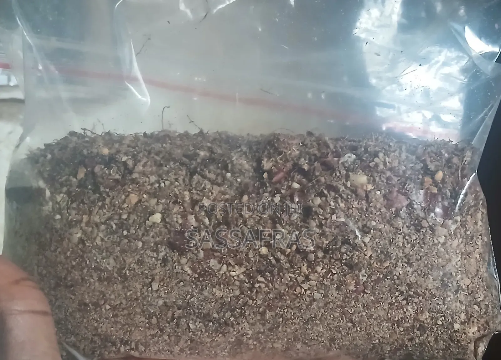 Groundnut Meal