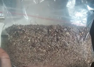 Groundnut Meal