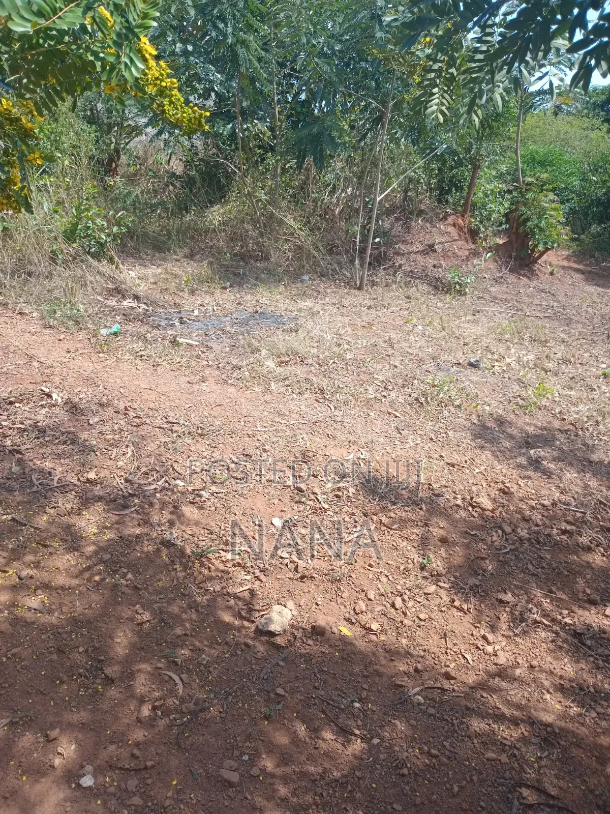 3plots of Land at Gomoa Oguaakrom