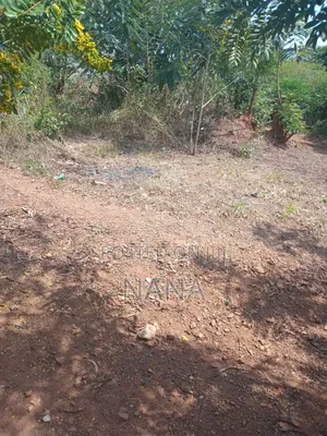 3plots of Land at Gomoa Oguaakrom