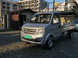 New Dongfeng Captain 2024 Gray