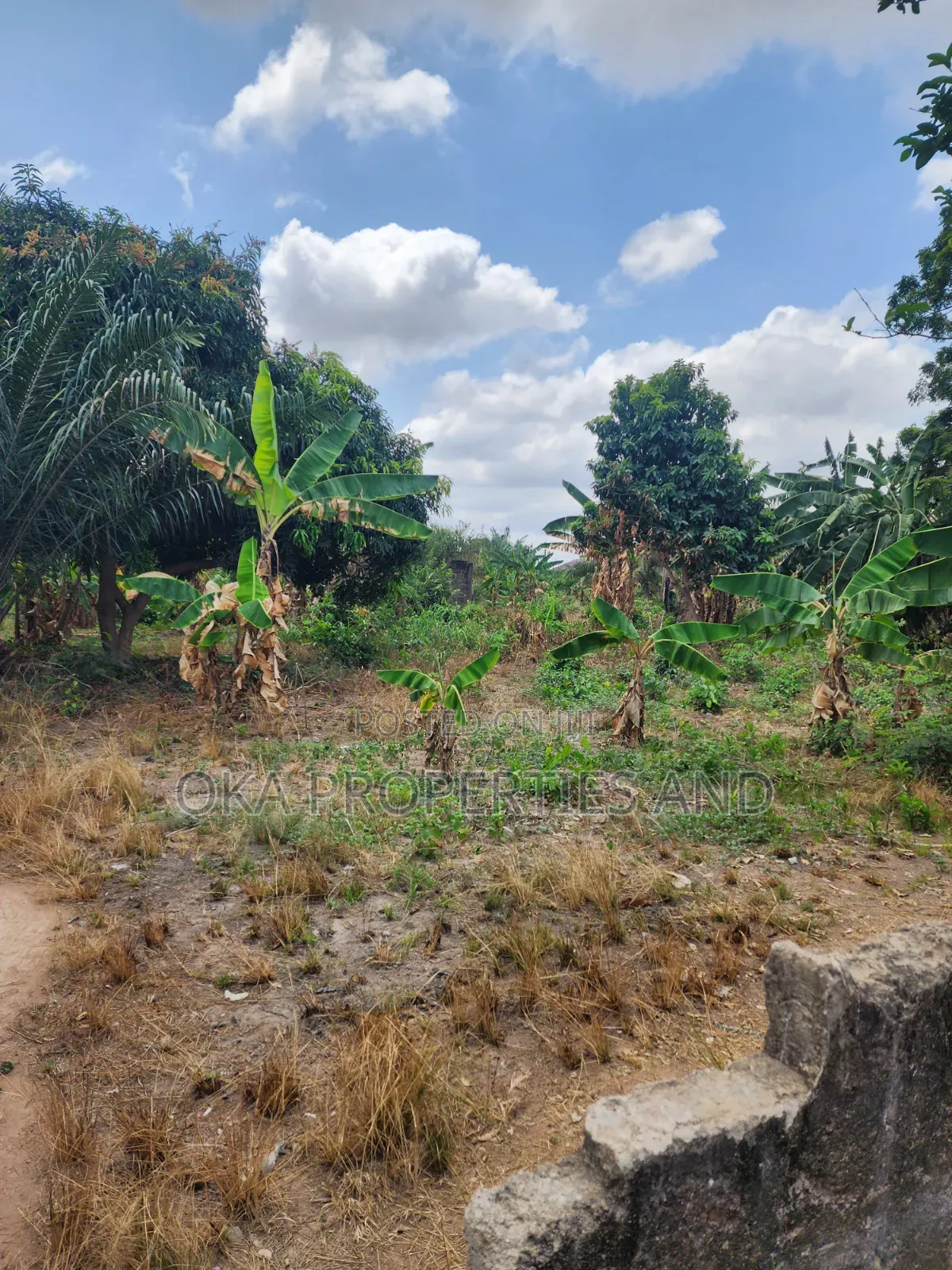 One Acre Land for Sale at Paraku Estate.