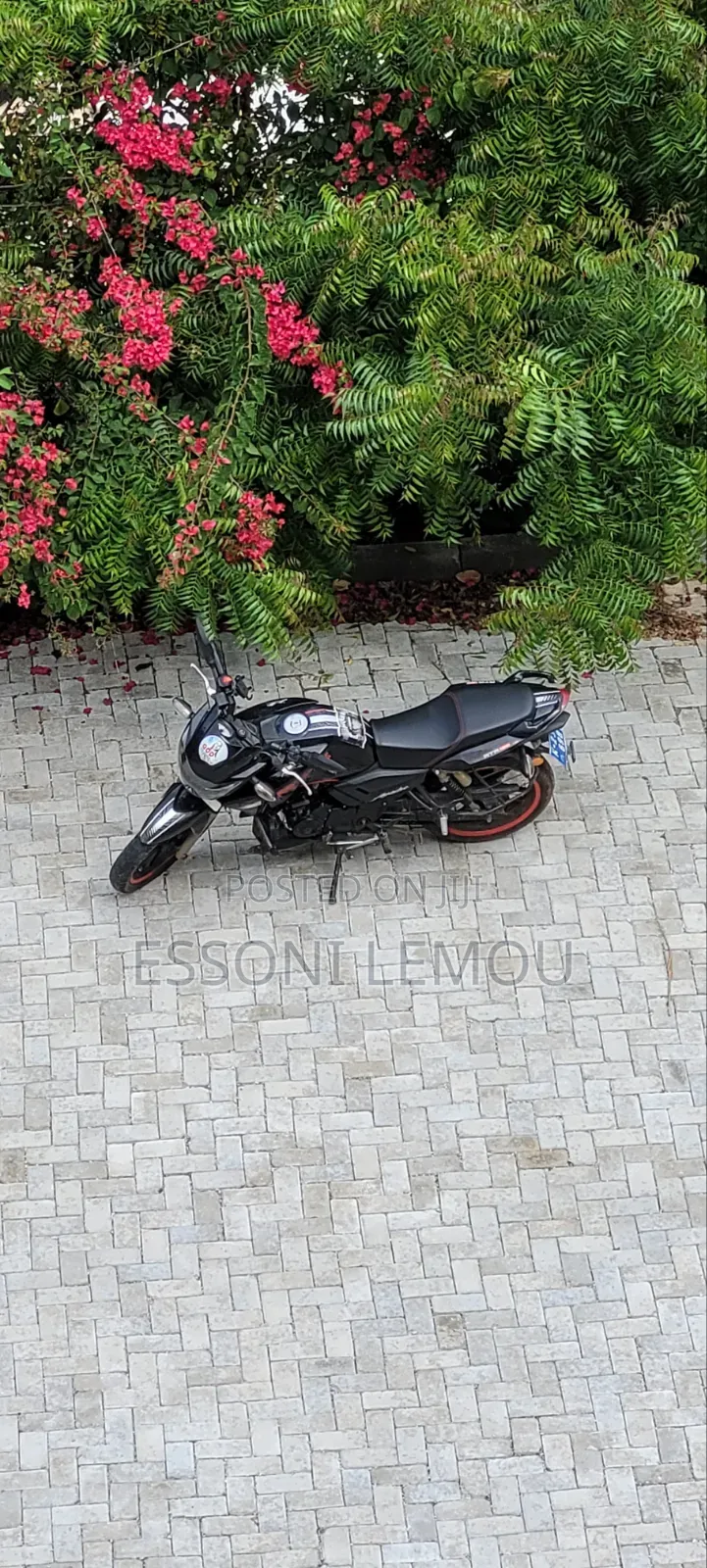 TVS Apache 180 RTR 2023 Black