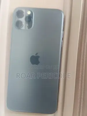Apple iPhone 11 Pro Max 256 GB Gray