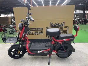 New Beth 2025 Gray