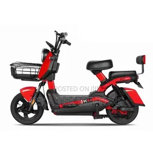 New Beth 2025 Gray