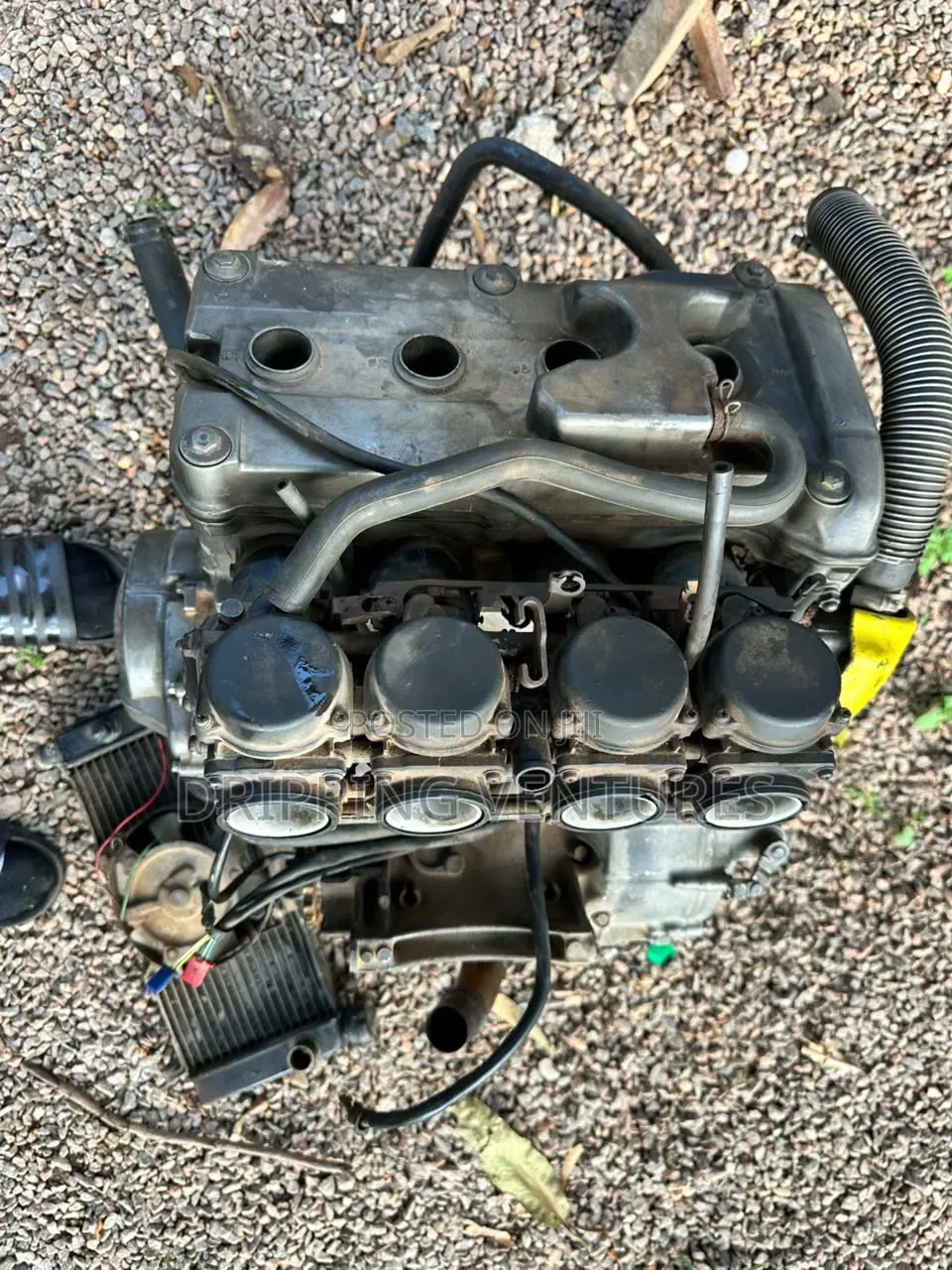 Honda Hornet 2008 Gray