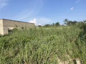 Half Plot Comes With Foundation and Flow