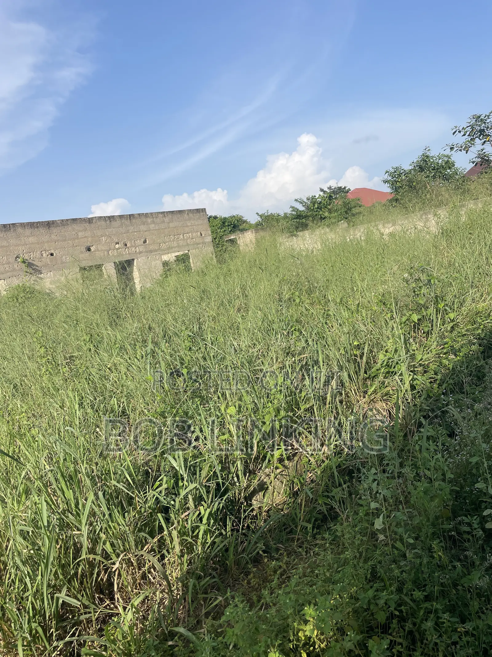 Half Plot Comes With Foundation and Flow