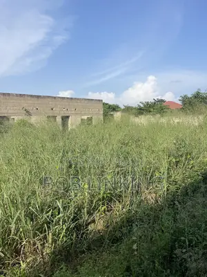 Half Plot Comes With Foundation and Flow