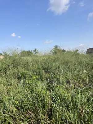 Half Plot Comes With Foundation and Flow