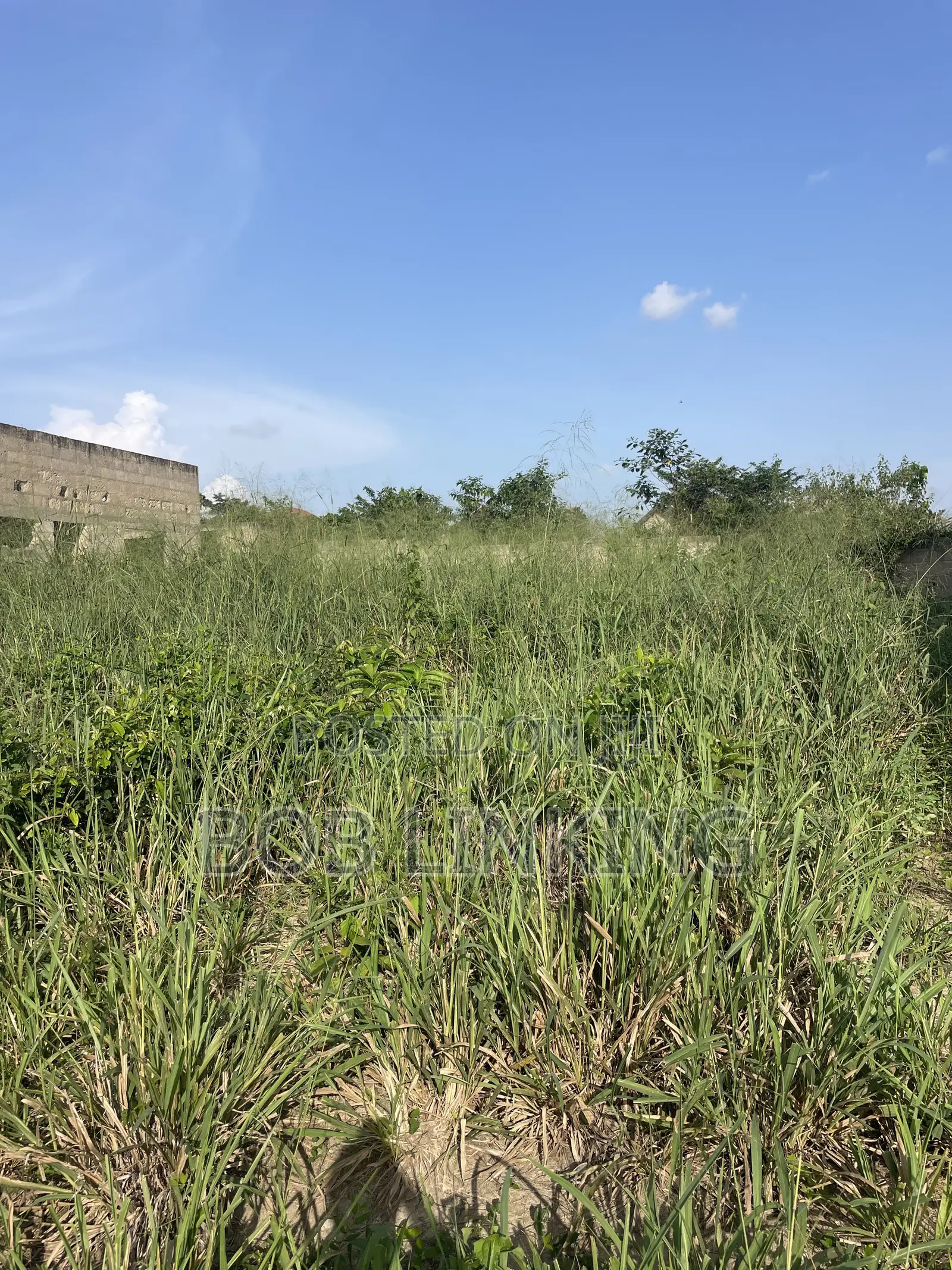 Half Plot Comes With Foundation and Flow