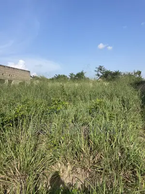 Half Plot Comes With Foundation and Flow