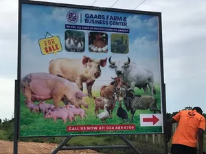 Sav Signboards