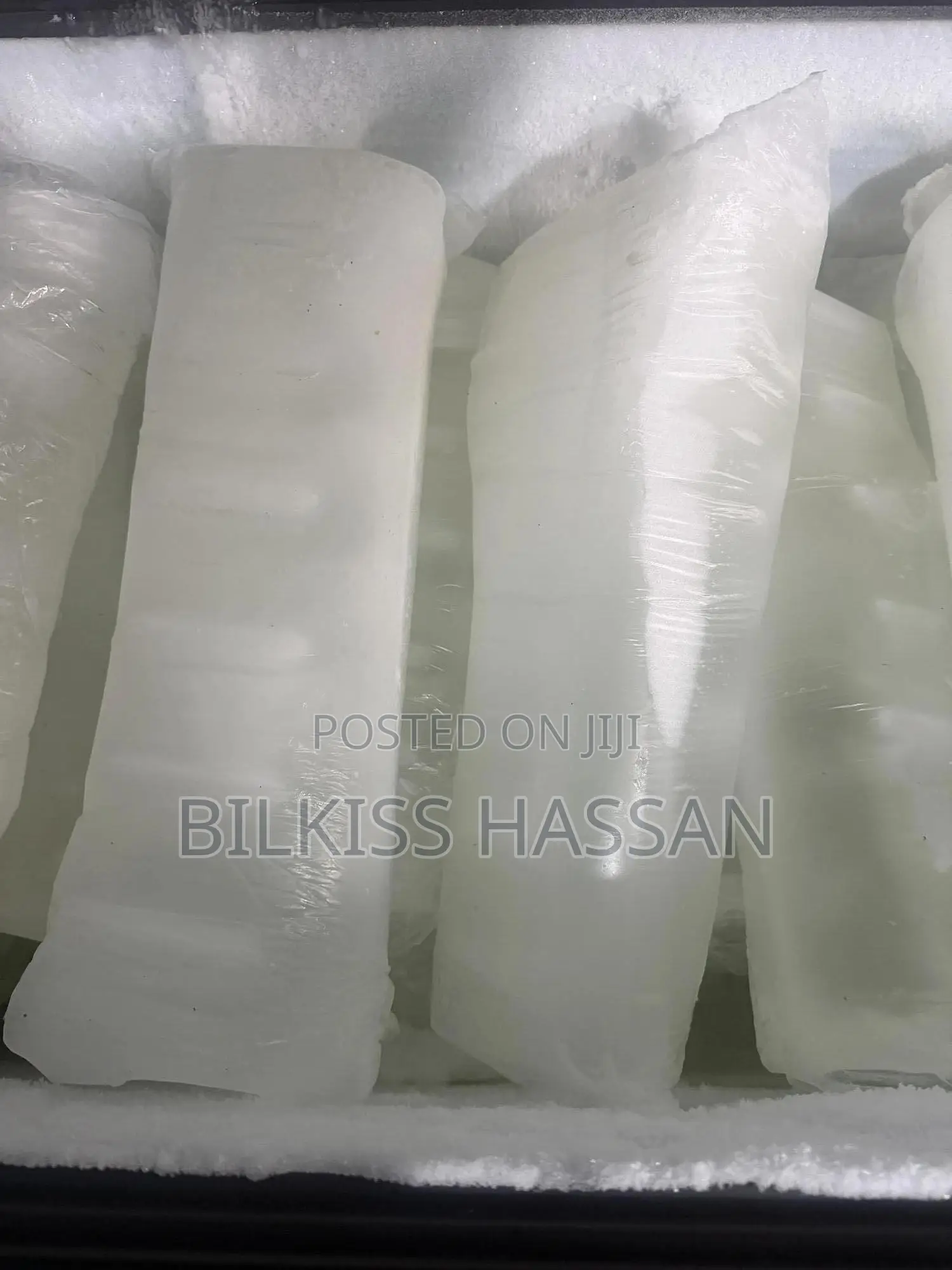 Long Lasting Ice Block