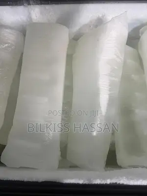 Long Lasting Ice Block