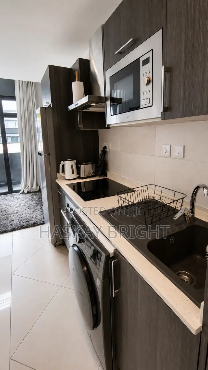 Furnished 1bdrm Apartment in Cantonment Embassy, Cantonments for rent