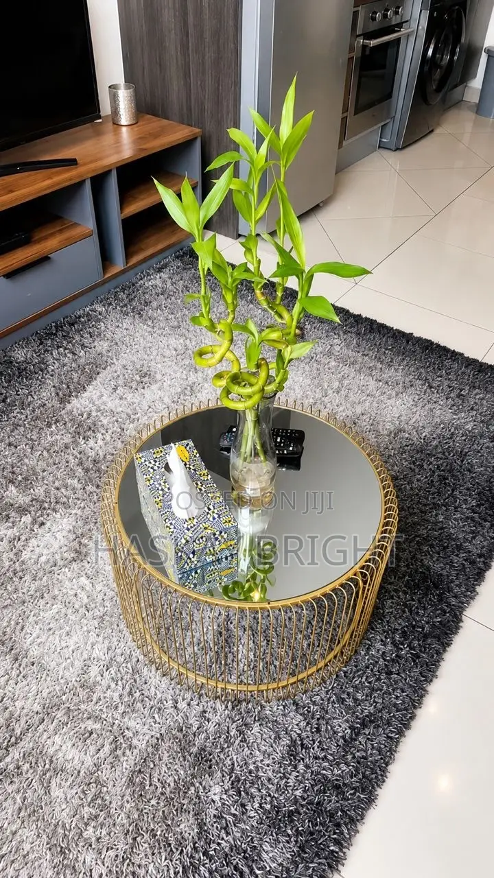 Furnished 1bdrm Apartment in Cantonment Embassy, Cantonments for rent