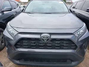 Toyota RAV4 LE AWD 2019 Gray
