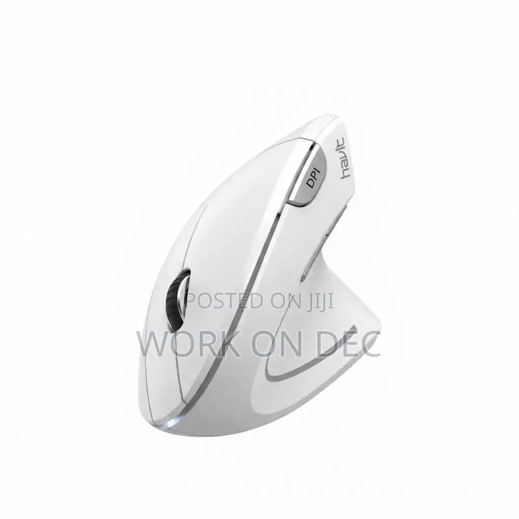 Havit MS550G Ergonomic Mouse