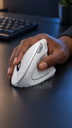 Havit MS550G Ergonomic Mouse