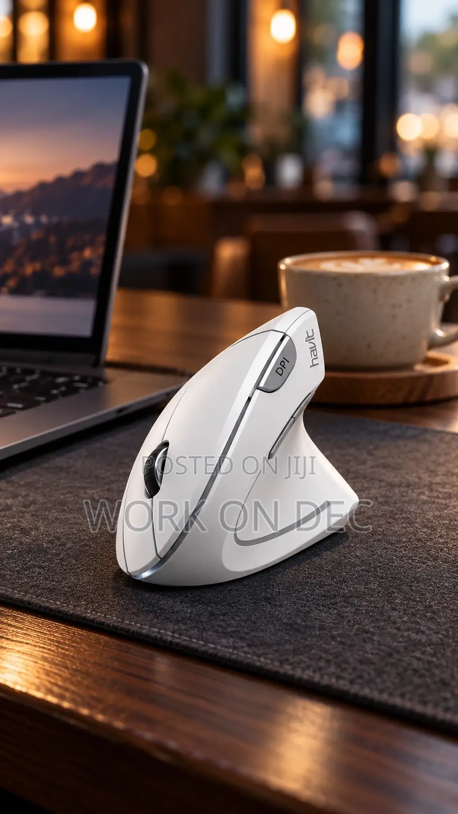Havit MS550G Ergonomic Mouse