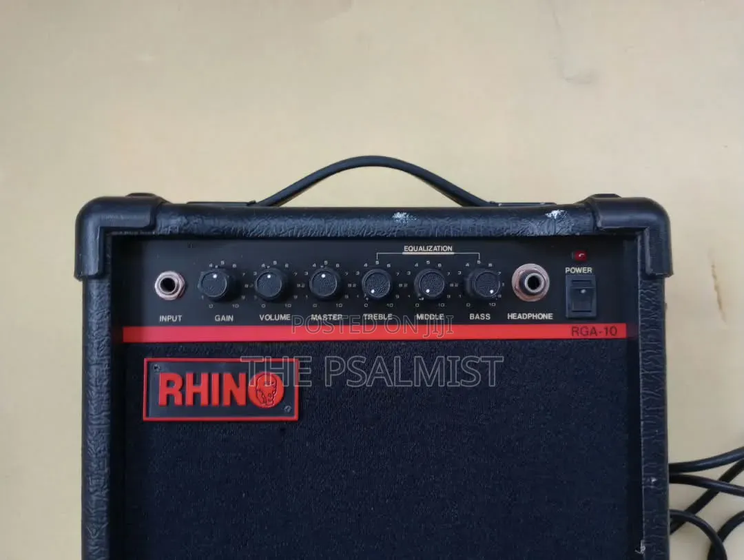 Rhin RGA 10 Mini Bass Guitar Combo