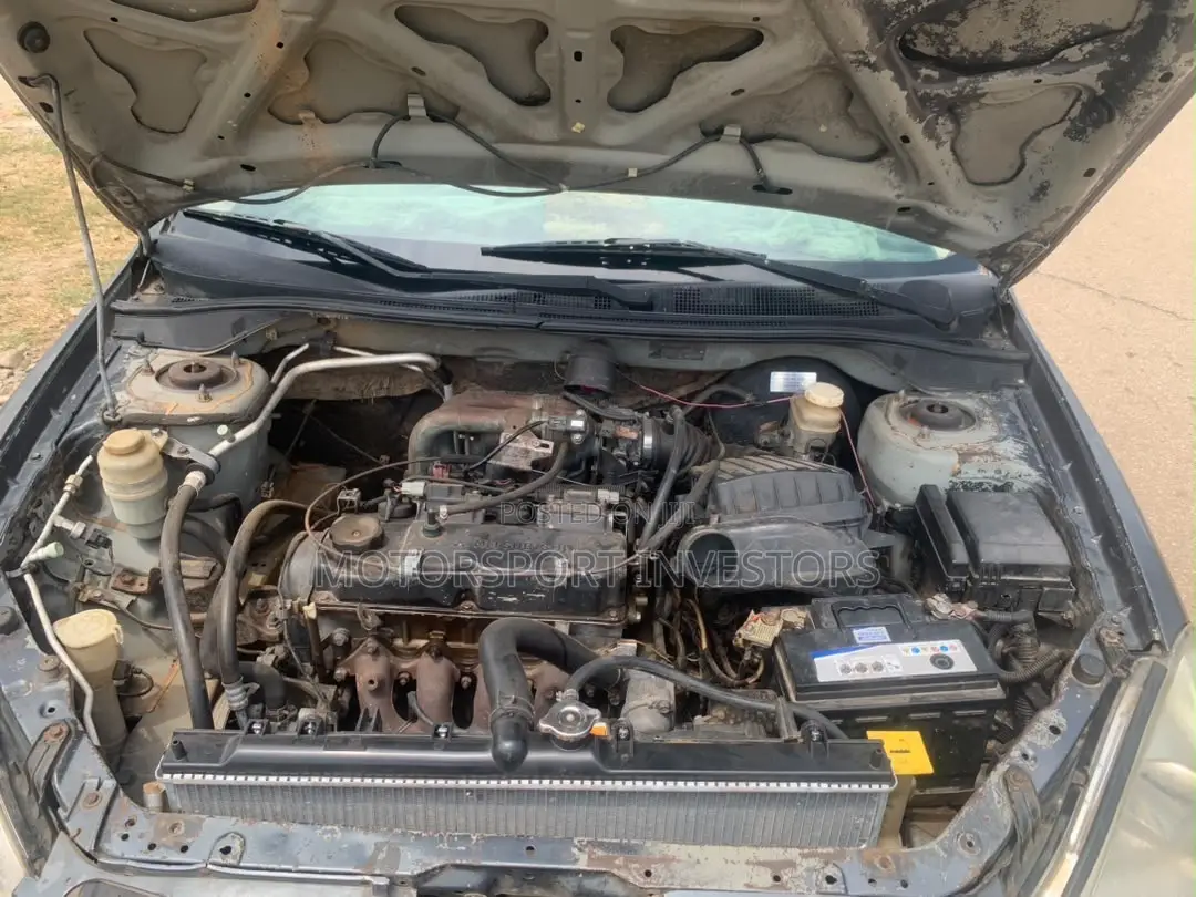 Mitsubishi Lancer 2008 Gray