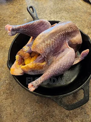 Guinea Fowls