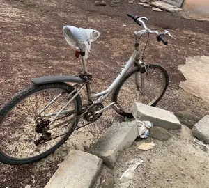 Mountain Bicycle