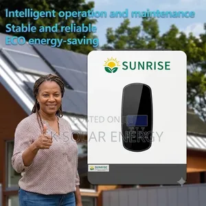 Solar Inverter 4.2kw 12v 24v Dual Voltage