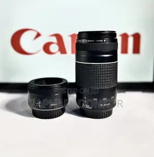 Canon 80d With Other Accessories