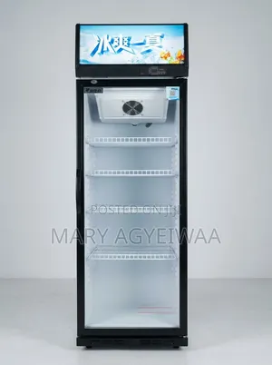 388L Cooling & Frost Free Single Glass Door Display Fridge