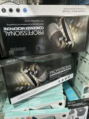 Professional Condenser Microphone