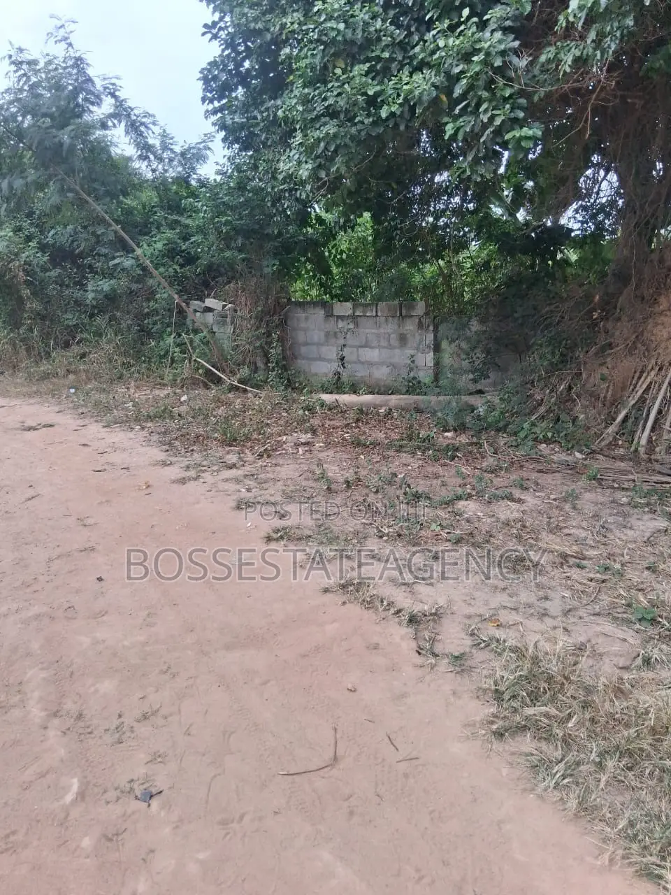 Genuine Half Plot for Sale