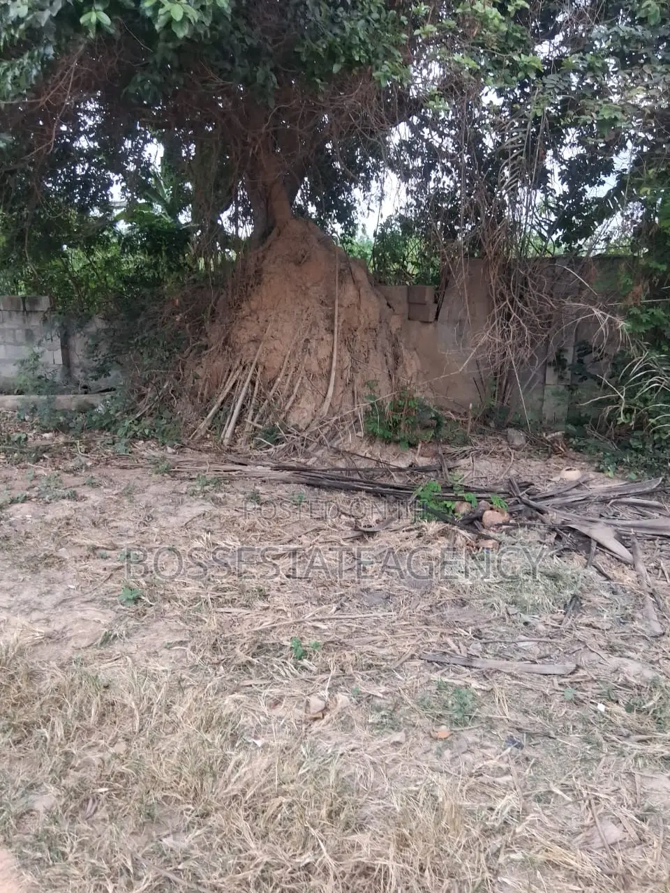 Genuine Half Plot for Sale