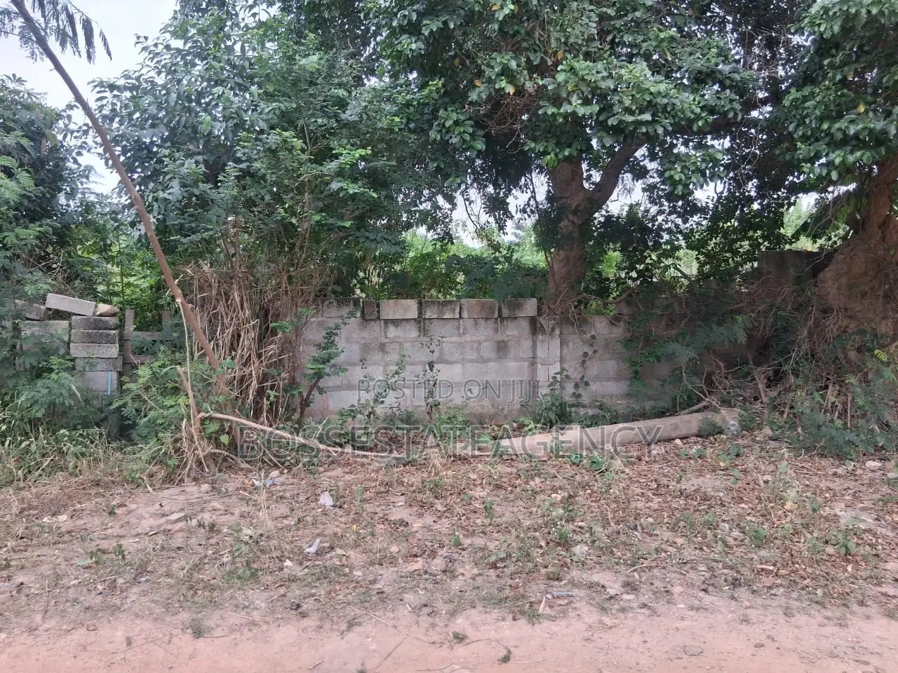 Genuine Half Plot for Sale