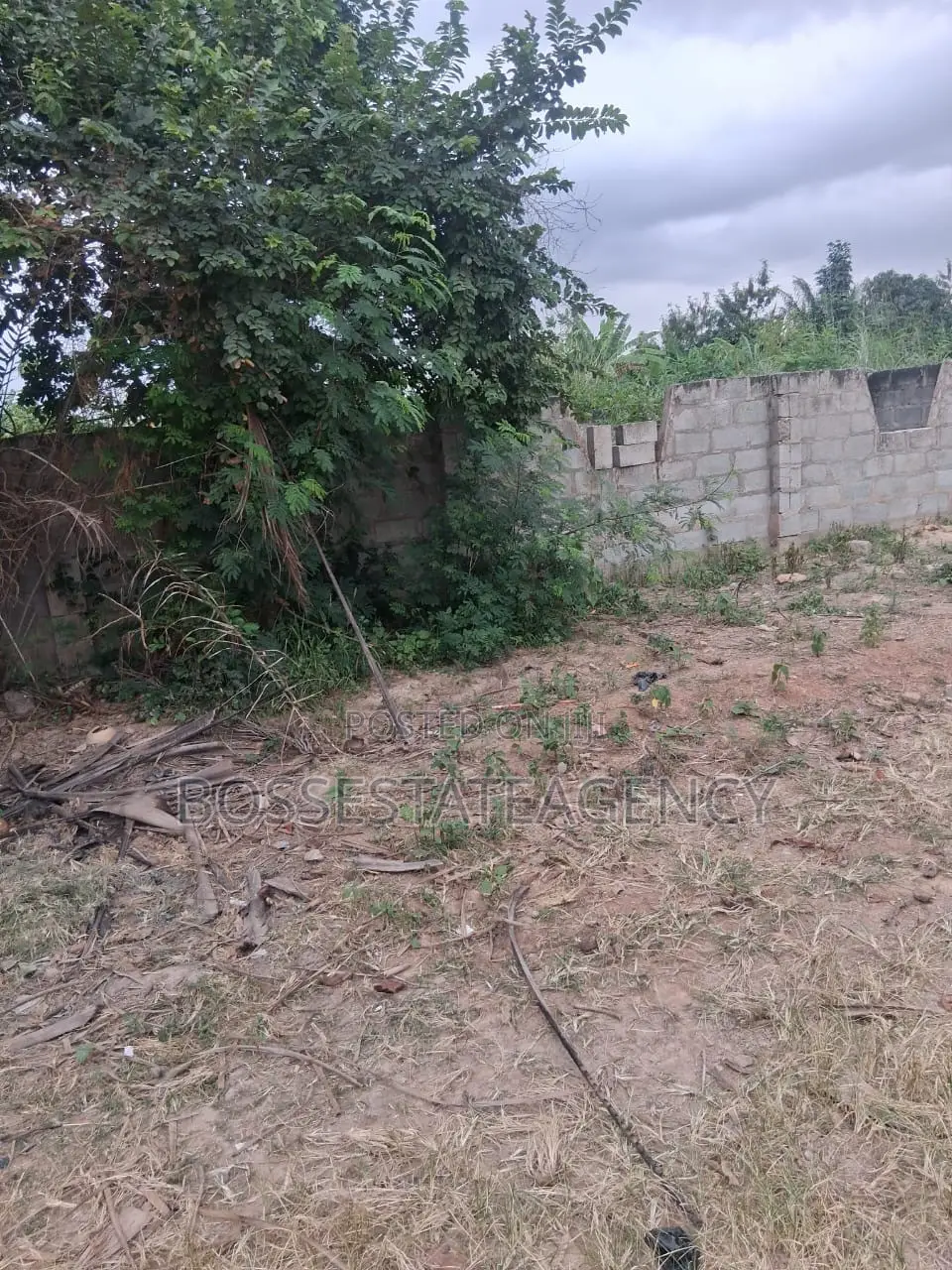 Genuine Half Plot for Sale