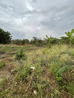 Genuine Half Plot for Sale