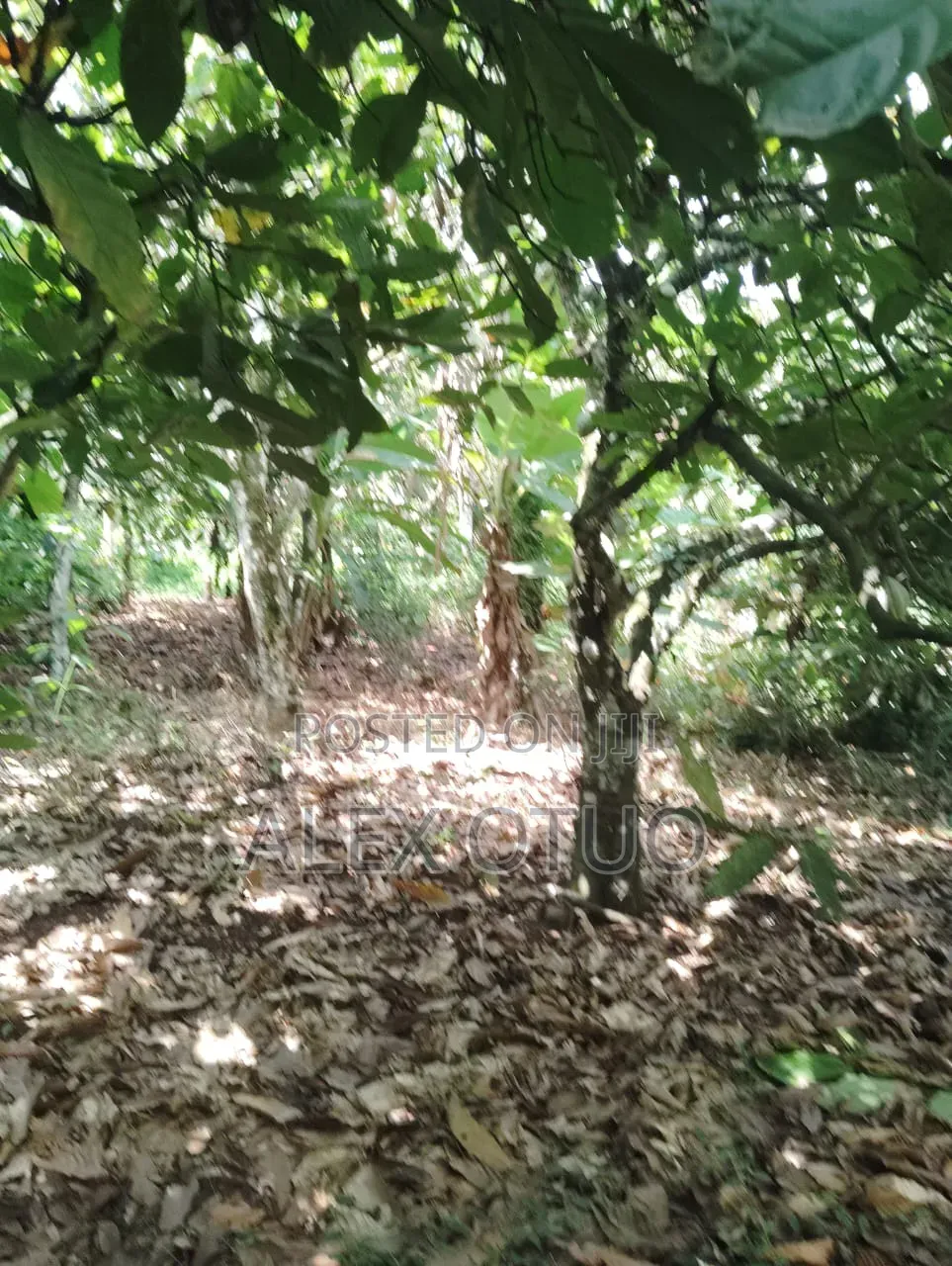 Plot of Land Back of Afari Military Hospital