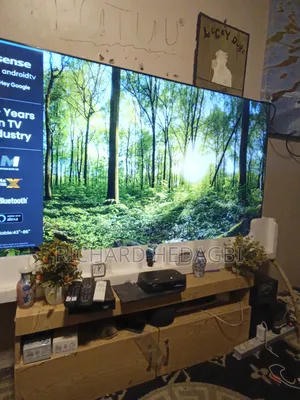 Hisense TV