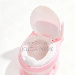 Potty Trainer or Mini Toilet for Children