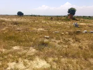 Land by Roadside.100 Acres.Titled.Developed Area(Tsopoli)