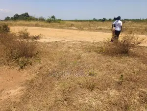Land by Roadside.100 Acres.Titled.Developed Area(Tsopoli)