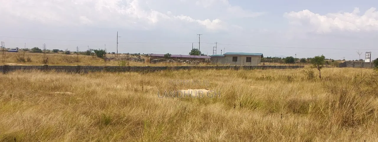 Land by Roadside.100 Acres.Titled.Developed Area(Tsopoli)