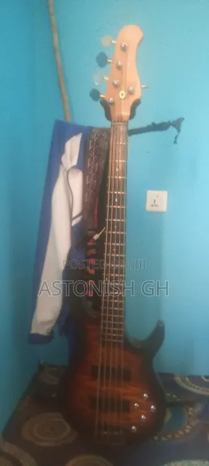 Well Sounded 5 String Bass Guitar