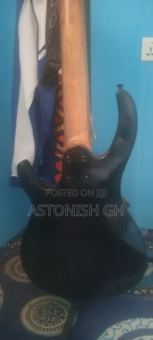 Well Sounded 5 String Bass Guitar