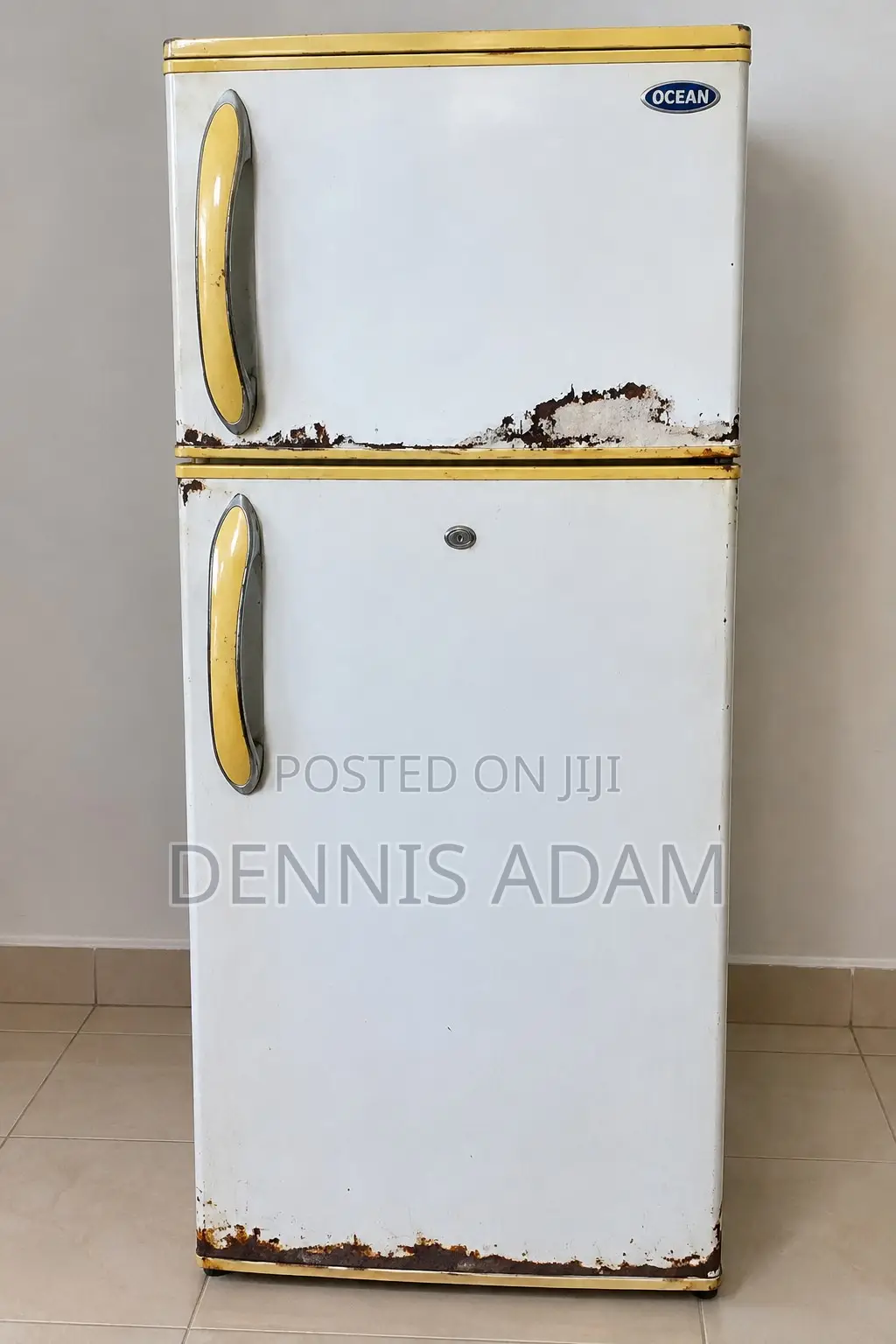 Ocean Double-Door Refrigerator for Sale